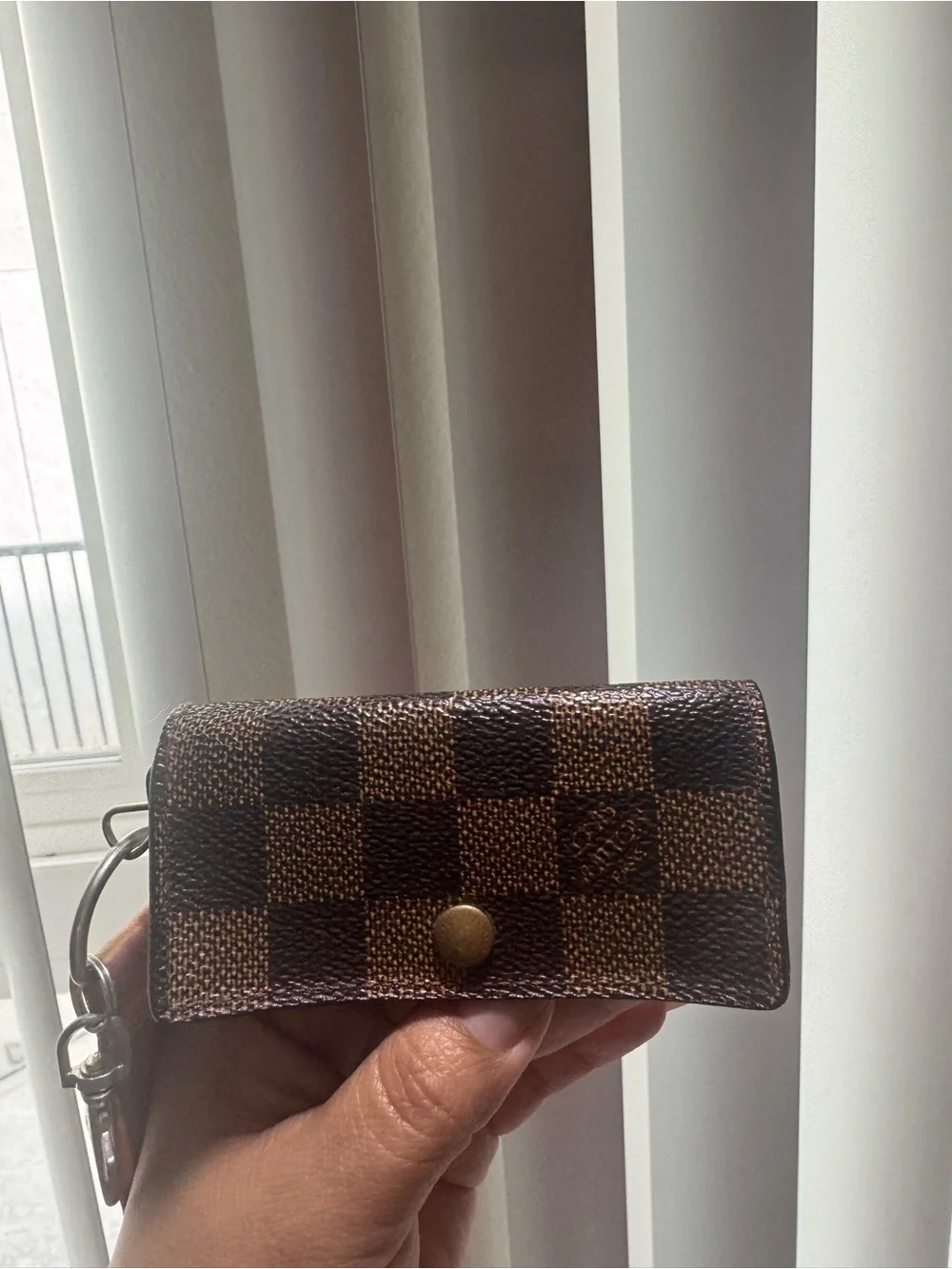 Louis Vuitton authentic louis